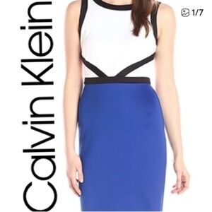 CALVIN KLEIN Colorblock Sheath Dress/Size 4